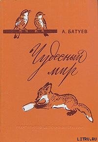 Чудесный мир — Батуев Андрей Михайлович