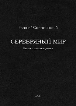 Серебряный мир (СИ) — Сапожинский Евгений Владимирович