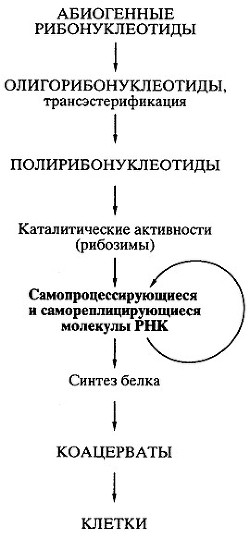 Биосинтез белков, мир РНК и происхождение жизни — Спирин Александр