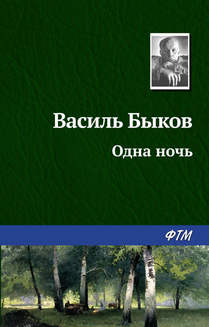 Одна ночь — Василь Быков