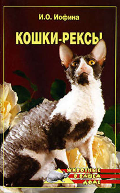 Кошки – рексы — Ирина Иофина