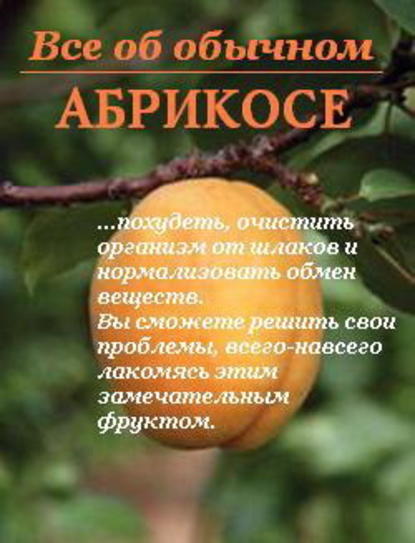 Все об обычном абрикосе — Иван Дубровин