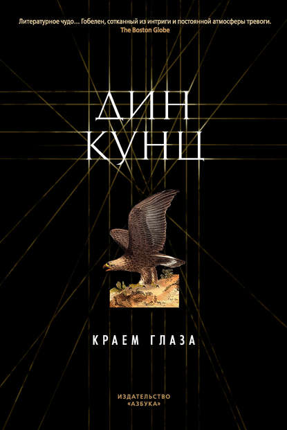 Краем глаза — Дин Кунц