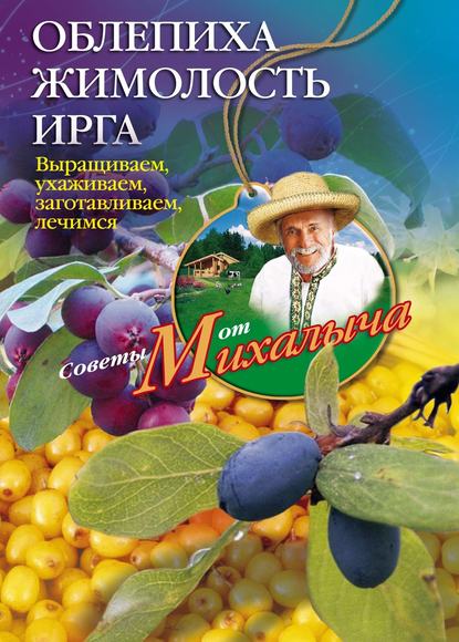 Облепиха, жимолость, ирга. Выращиваем, ухаживаем, заготавливаем, лечимся — Николай Звонарев