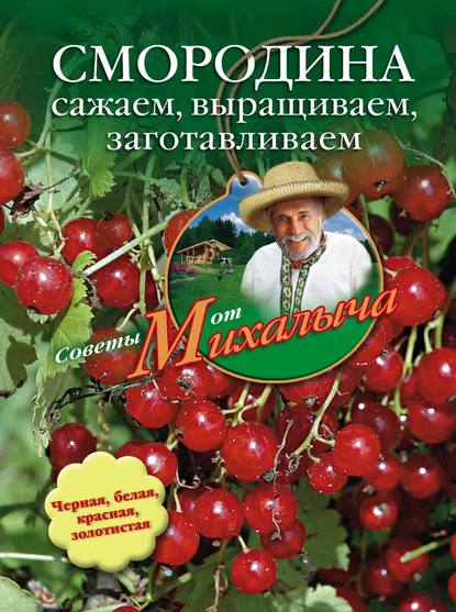 Смородина. Сажаем, выращиваем, заготавливаем — Николай Звонарев