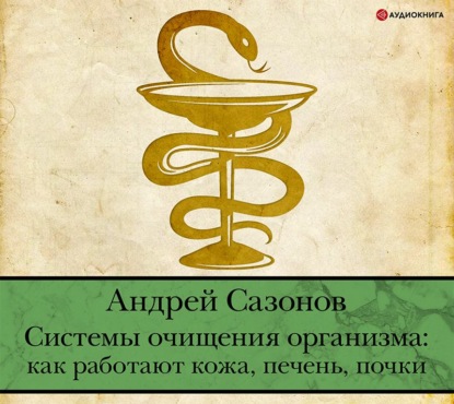 Системы очищения организма: как работают кожа, печень, почки — Андрей Сазонов