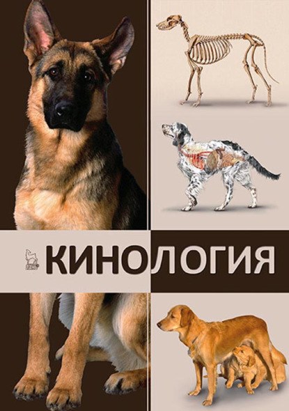 Кинология — Коллектив авторов