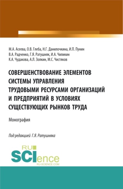 Совершенствование элементов системы управления трудовыми ресурсами организаций и предприятий в условиях существующих рынков труда. (Аспирантура, Бакалавриат, Магистратура). Монография. — Надежда Григорьевна Данилочкина