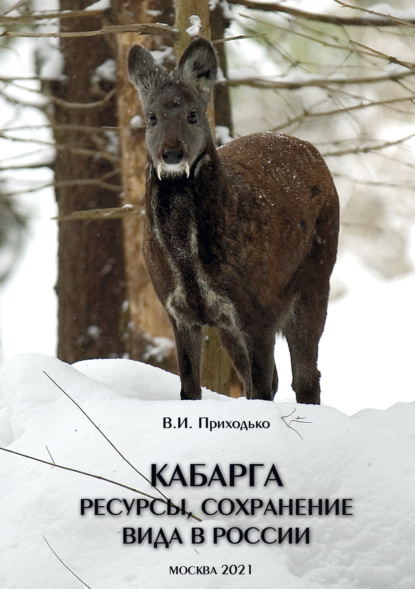 Кабарга. Ресурсы, сохранение вида в России — В. И. Приходько