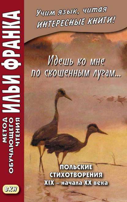 Идешь ко мне по скошенным лугам… Польские стихотворения XIX – начала XX века — Сборник