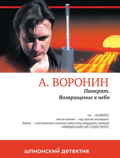 Панкрат. Возвращение в небо — Андрей Воронин