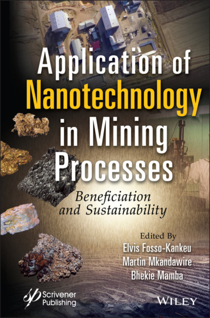 Application of Nanotechnology in Mining Processes — Группа авторов