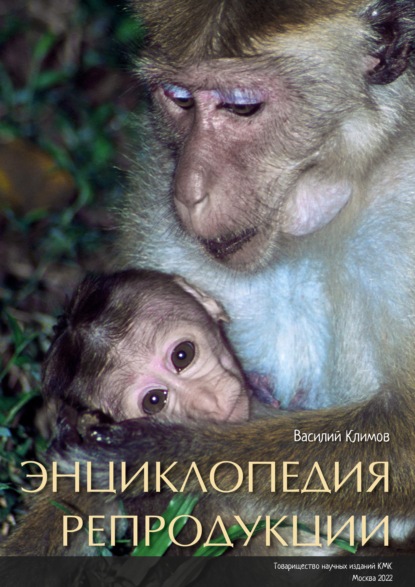 Энциклопедия репродукции (pdf+epub) — Василий Климов