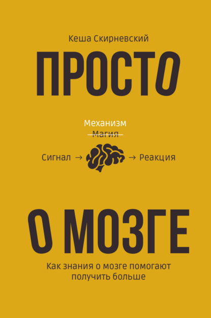 Просто о мозге. Как знания о мозге помогают получить больше — Кеша Скирневский