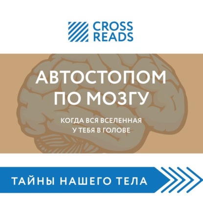 Саммари книги «Автостопом по мозгу. Когда вся вселенная у тебя в голове» — Майя Бызова