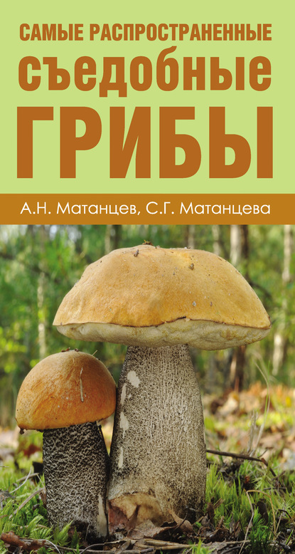 Самые распространенные съедобные грибы — Александр Матанцев