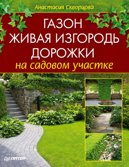 Газон, живая изгородь, дорожки на садовом участке — Анастасия Скворцова