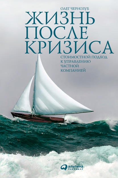 Жизнь после кризиса. Стоимостной подход к управлению частной компанией — Олег Чернозуб