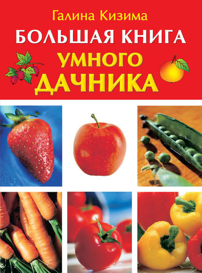 Большая книга умного дачника — Галина Кизима