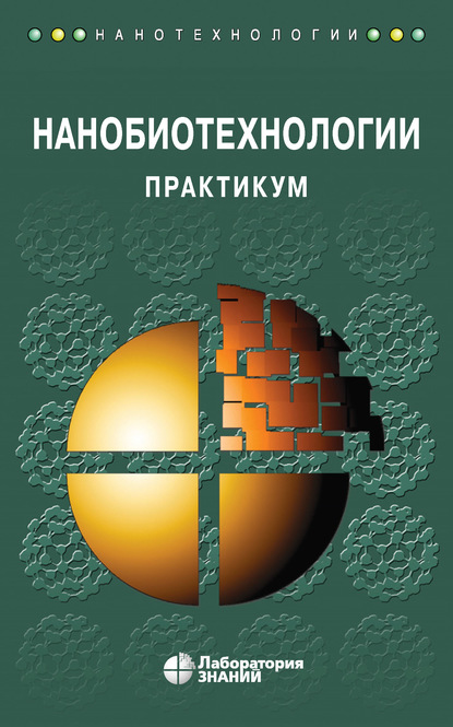 Нанобиотехнологии. Практикум — Андрей Борисович Рубин