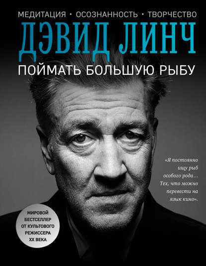 Поймать большую рыбу. Медитация, осознанность, творчество — Дэвид Линч