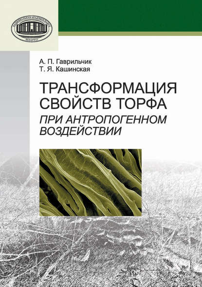 Трансформация свойств торфа при антропогенном воздействии — А. П. Гаврильчик