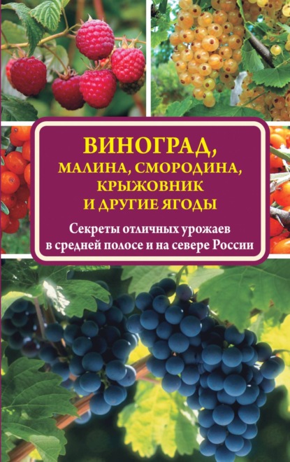 Виноград, малина, смородина, крыжовник и другие ягоды — Виктор Жвакин