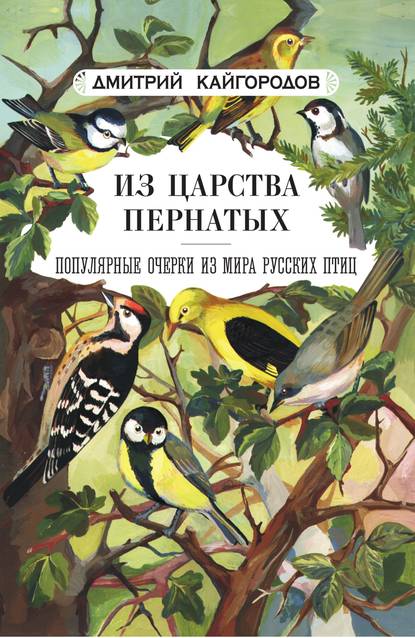 Из царства пернатых. Популярные очерки из мира русских птиц — Дмитрий Кайгородов