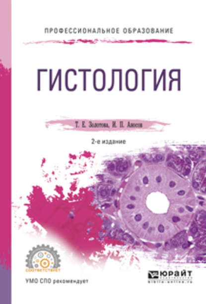 Гистология 2-е изд., испр. и доп. Учебное пособие для СПО — Татьяна Евгеньевна Золотова