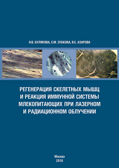 Регенерация скелетных мышц и реакция иммунной системы млекопитающих при лазерном и радиационном облучении — С. М. Зубкова