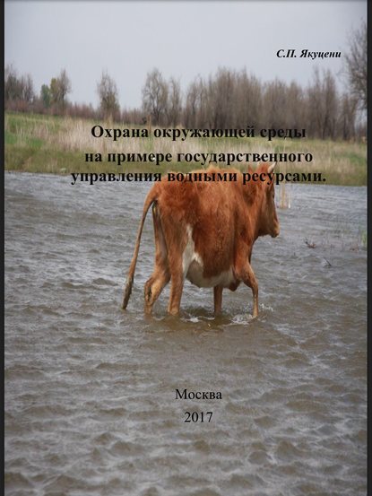 Охрана окружающей среды на примере государственного управления водными ресурсами — Сергей Павлович Якуцени