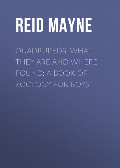 Quadrupeds, What They Are and Where Found: A Book of Zoology for Boys — Майн Рид