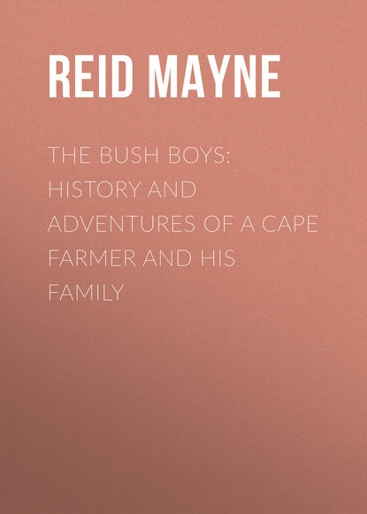 The Bush Boys: History and Adventures of a Cape Farmer and his Family — Майн Рид
