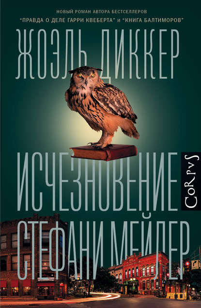 Исчезновение Стефани Мейлер — Жоэль Диккер