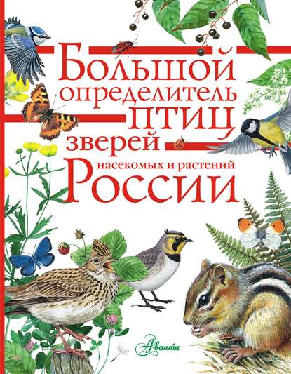 Большой определитель птиц, зверей, насекомых и растений России — Коллектив авторов