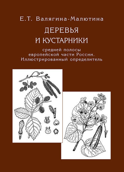 Деревья и кустарники средней полосы европейской части России. Иллюстрированный определитель — Евгения Валягина-Малютина