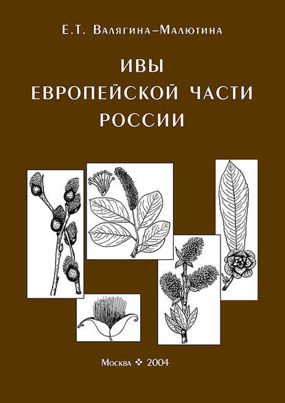 Ивы европейской части России. Иллюстрированное пособие для работников лесного хозяйства — Евгения Валягина-Малютина