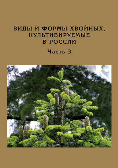 Виды и формы хвойных, культивируемые в России. Часть 3. Abies Mill., Chamaecyparis Spach — Д. Л. Матюхин