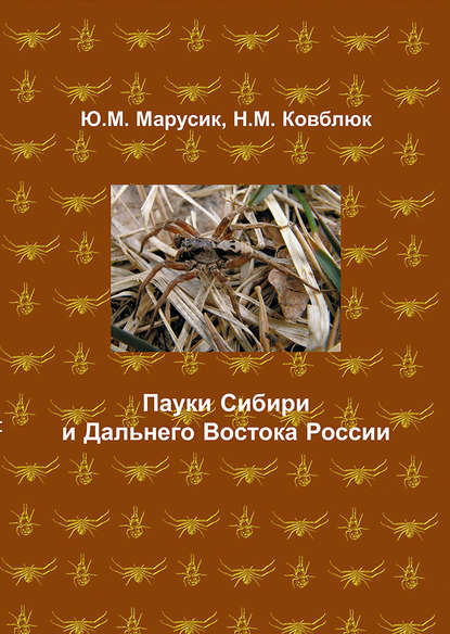 Пауки Сибири и Дальнего Востока России — Ю. М. Марусик