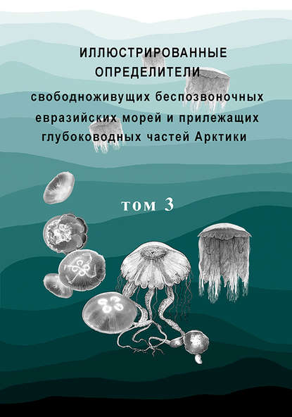 Иллюстрированные определители свободноживущих беспозвоночных евразийских морей и прилежащих глубоководных частей Арктики. Том 3 — Коллектив авторов