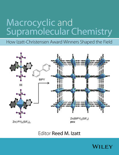 Macrocyclic and Supramolecular Chemistry — Группа авторов