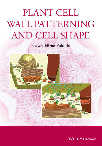 Plant Cell Wall Patterning and Cell Shape — Группа авторов