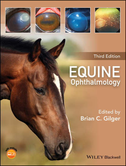 Equine Ophthalmology — Группа авторов