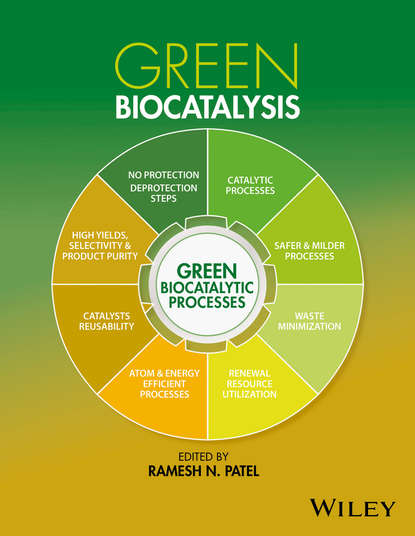 Green Biocatalysis — Группа авторов