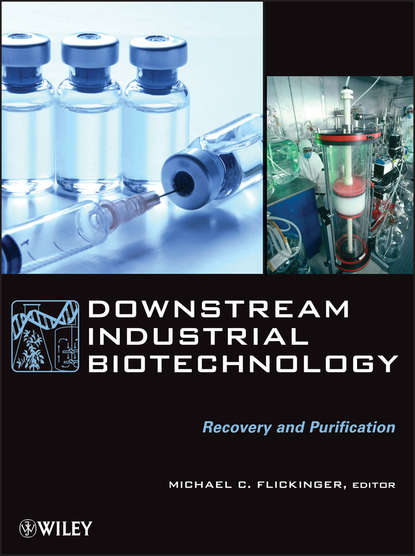 Downstream Industrial Biotechnology — Группа авторов