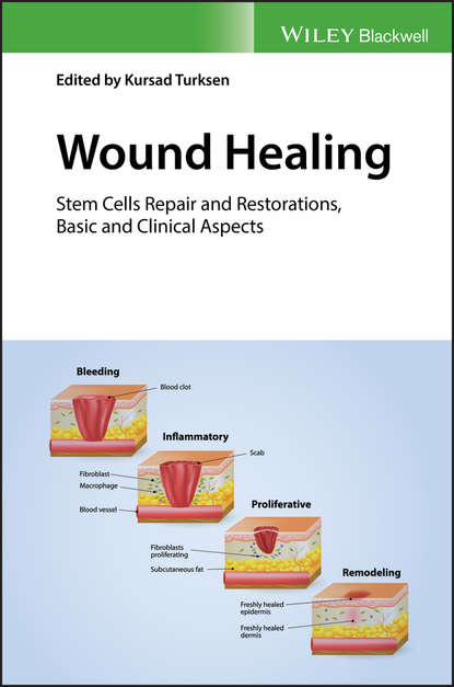 Wound Healing — Группа авторов