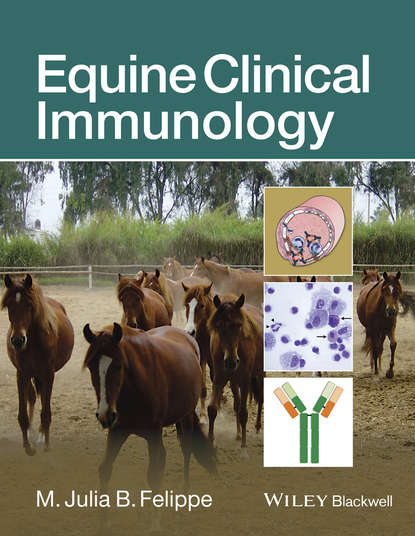 Equine Clinical Immunology — Группа авторов
