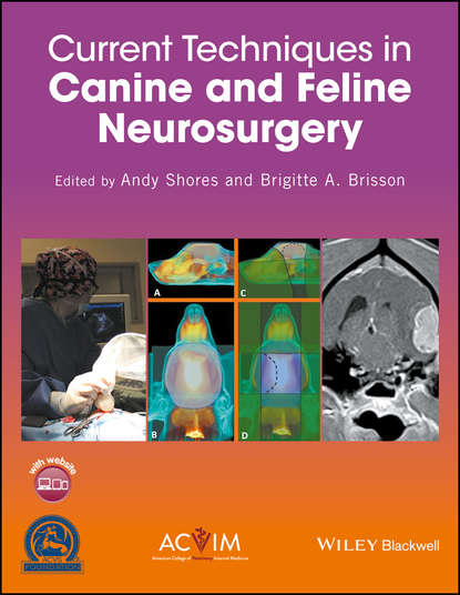 Current Techniques in Canine and Feline Neurosurgery — Группа авторов