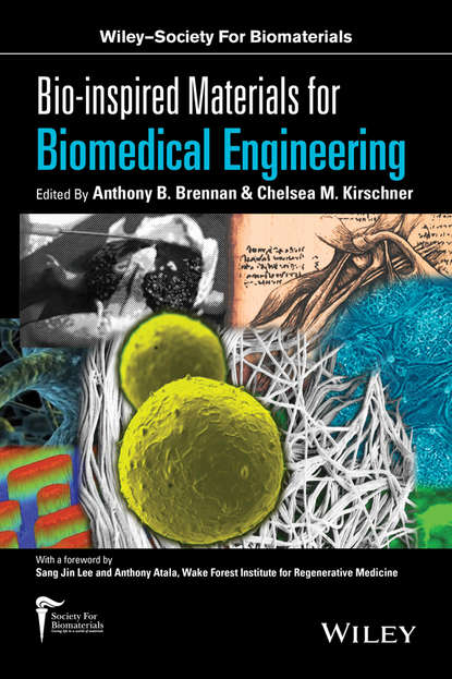 Bio-inspired Materials for Biomedical Engineering — Группа авторов