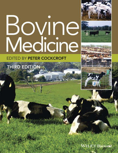 Bovine Medicine — Группа авторов